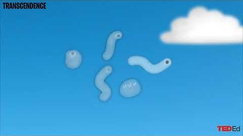 What are those floaty things in your eye? ردو / हिंदी`