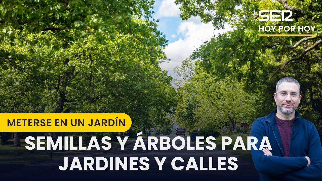 🌳 Semillas y árboles para jardines y calles | Meterse en un jardín, Eduardo Barba