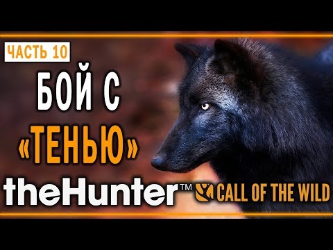 Видео: theHunter Call of the Wild #10 🐺 - Охота на Волка "Тень" - "Куатро Колинас"