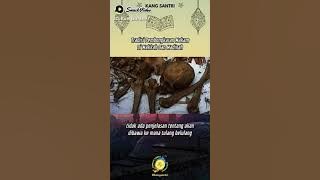 jenazah yg berada di makam  makla dan Baqi` setelah 4 tahun akan di pindah.subhanalloh.
