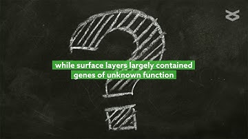 Viruses are important part of extreme environments around mines