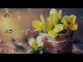 ضعفي مايخفاك يارب الافلاك اناشيد اسلامية رنات هاتف دينيه