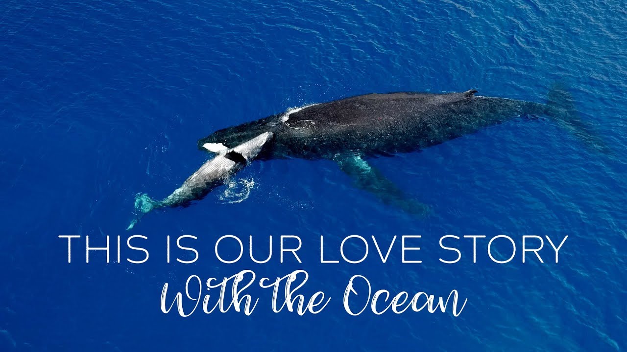 TRAVEL and DIVE the world! Our love story with the ocean!!!