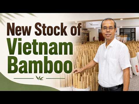 Premium Vietnam Bamboo | Punam Flutes | New Stock Arrived