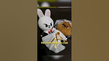 Jungkook VS Lee Know : lapin #kpop #bts #straykids