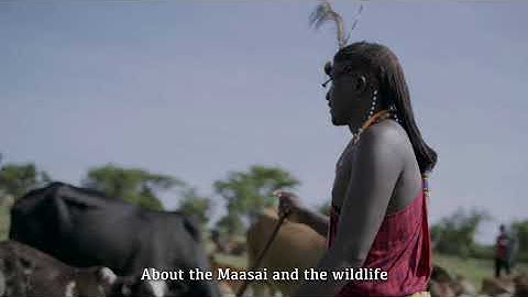 Enanyoke By Team Bogoria