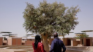 Rolex Mentoring Programme – Mariam Issoufou Kamara – Rolex watch video