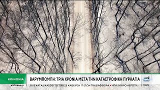 Βαρυμπόμπη: Οδοιπορικό τρία χρόνια μετά την καταστροφική πυρκαγιά