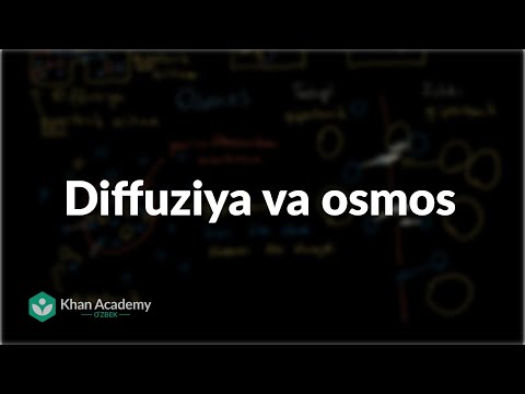 Video: Hovuzdagi osmos nima?