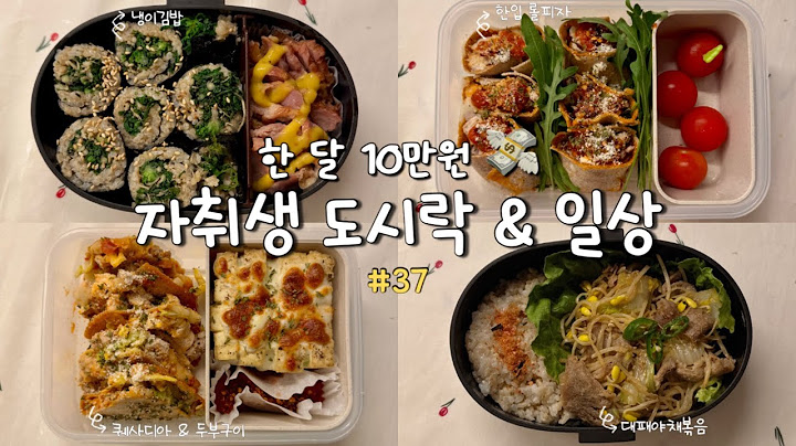 [한 달 10만 원 도시락 💸] 월세보다 식비가 더 들었던 사람, 그게 나야 🤦‍♀️ | 자취생의 든든한 점심도시락 모음 🍱 | 라자냐, 파스타, 냉이김밥 등