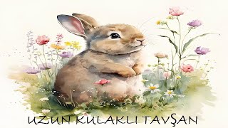 UZUN KULAKLI TAVŞAN ŞARKISI