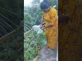 minivlog #3 | செடிக்கு தண்ணி ஊத்தியச்சி | #minivlog #vlog