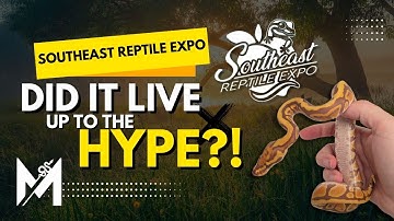 Inside the Southeast Reptile Expo! Full Walkthrough & Honest Review