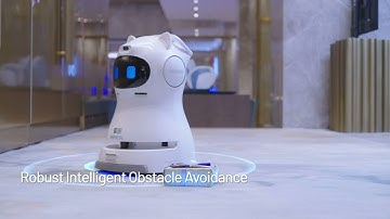 The Kleenbot C30