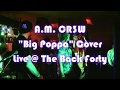 Am cr3w  the notorious big  big poppa cover live  the back forty