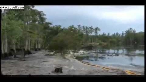 Huge sinkhole swallows tree in US state of Louisiana August 2013