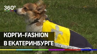 Корги-fashion. Лучшую собаку-улыбаку выбрали в Екатеринбурге Корги-fashion. Лучшую собаку-улыбаку выбрали в Екатеринбурге