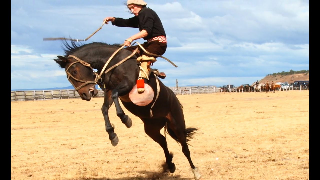 2020 TomÃÂ¡s. Relato De RedenciÃÂ³n NÃÂº 1 AÃÂ±o 2095