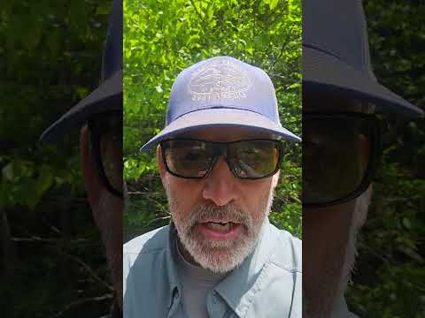 Update from Points North Outfitters, Pittsburg, NH, June 21,2026