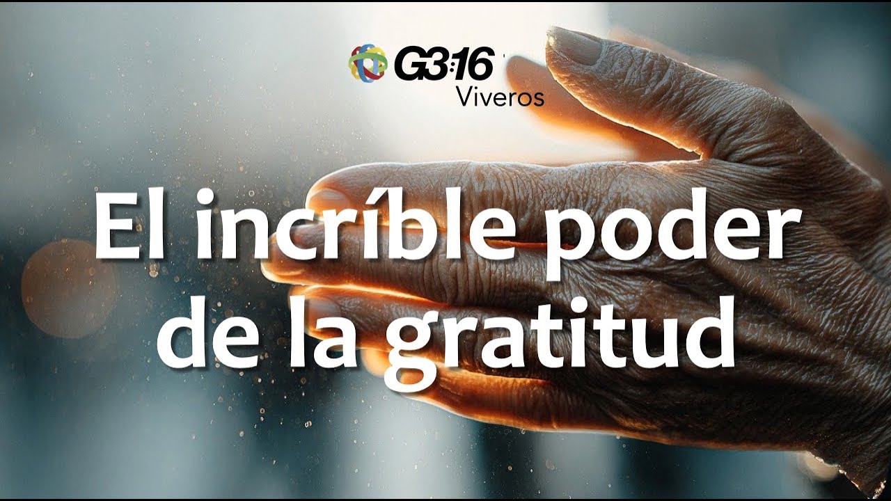 El increíble poder de la gratitud - YouTube