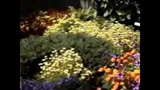 Fable Cottage 1992 Part One