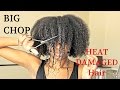 BIG CHOP 2016 On My HEAT DAMAGED HAIR | TwinGodesses