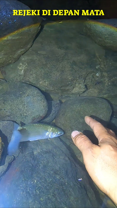 Lucky Catch with Bare Hands #fishing #hunting #angling