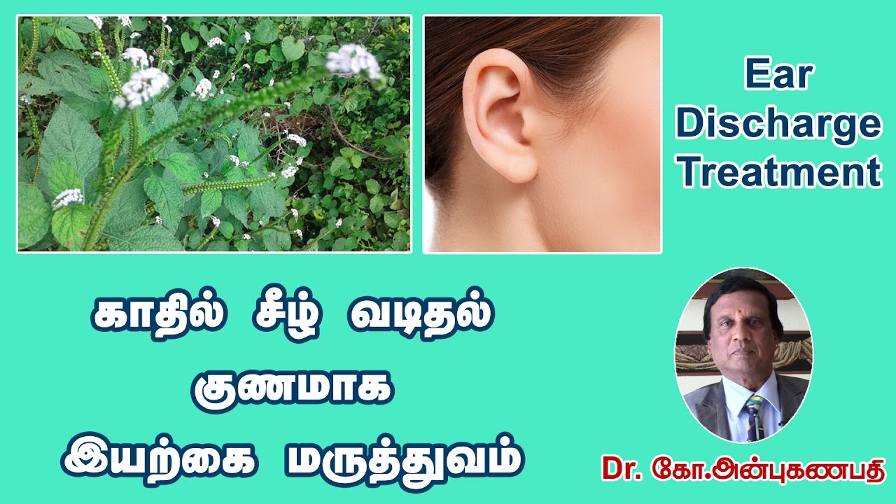 காதில் சீழ் வடிதல் குணமாக இயற்கை மருத்துவம் |  Ear Discharge Treatment Natural way