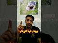 پیداکردن ورودی تپه گنج دار 