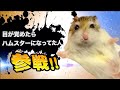 激やばアニマル全員参戦!!part6