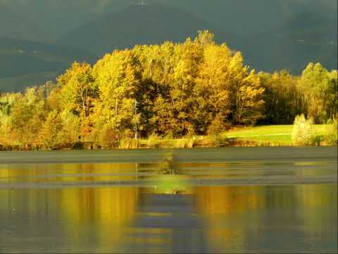 Video: Lepa In Strašna. Jezero, Ki živali Spremeni V Kamen