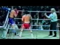 Marijan Beneš Knockouts HD 2016