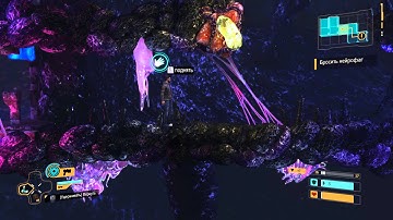 Bugs in the game flashback