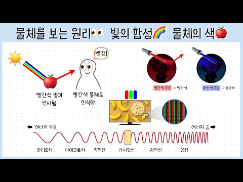 [Middle School ② Unit 3] Lesson 1. The Principles of Seeing Objects👀┃The Synthesis of Light🌈┃The ...