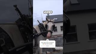 The Horses of The Aran Islands - Ireland 🇮🇪 #Travel #Horses