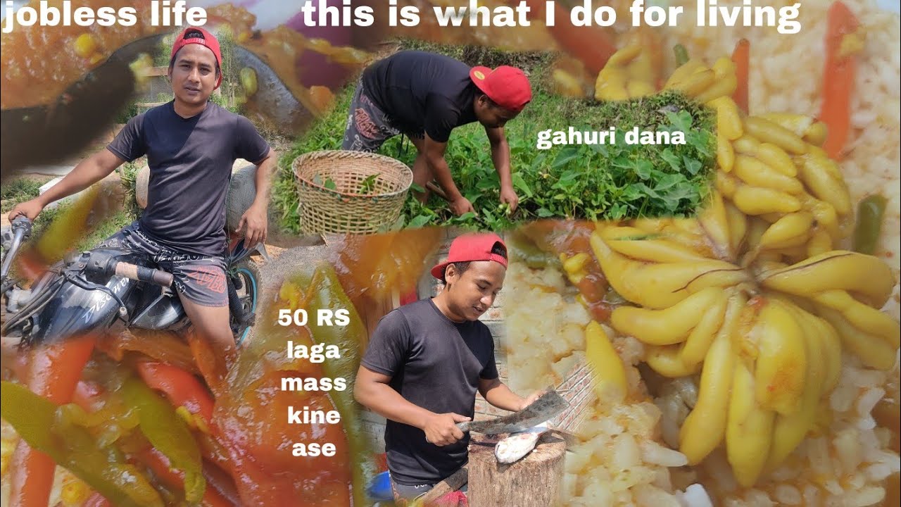 work and eat 50rs pangas fish mukbang || jobless life 😩 this is what I ...