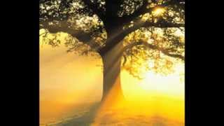 Tribute To Sophia Mina