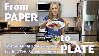 Episode 2: Your Mighty Mitochondria - Feeding your cellular engines