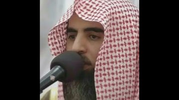 سورة المؤمنون | محمد اللحيدان