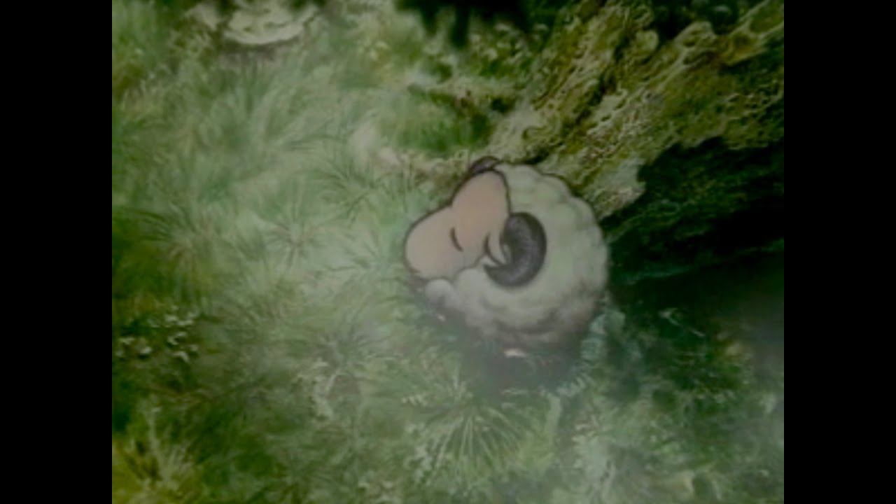 STRAY SHEEP trilogy - YouTube