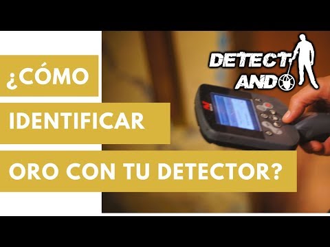 Video: Cómo Verificar Dinero En Un Detector
