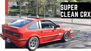 MINT 1987 Honda Crx Si: Second Endeavor