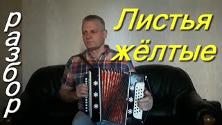 Листья жёлтые.  разбор на гармони. Николай Гарбузов.