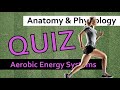 QUIZ: Aerobic Energy Systems | Anatomy &amp; Physiology