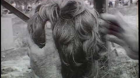 Naples Goes Buggy (1964)