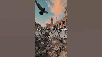 سورة الأحزاب، الآية 40 #اللهم_صل_وسلم_على_نبينا_محمد