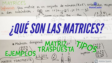 ¿QUÉ SON LAS MATRICES? | DEFINICIÓN, EJEMPLOS, TIPOS DE MATRICES Y MATRIZ TRASPUESTA