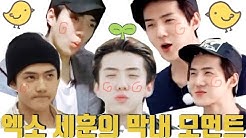 엑사세 속 엑소 세훈의 막내 모먼트