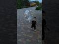 🟡 На эту походку 😂 Ходит как я ❤️