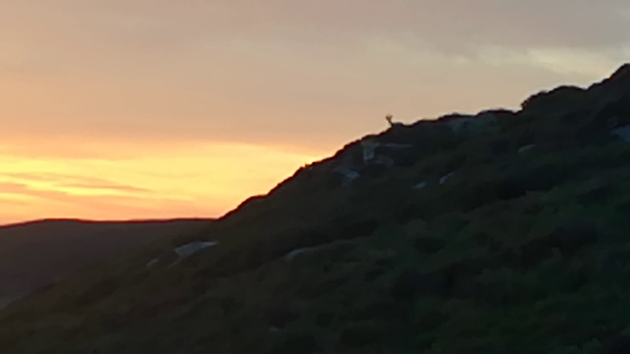 Melissa 3 Bradd ASLand the ever changing as is now will